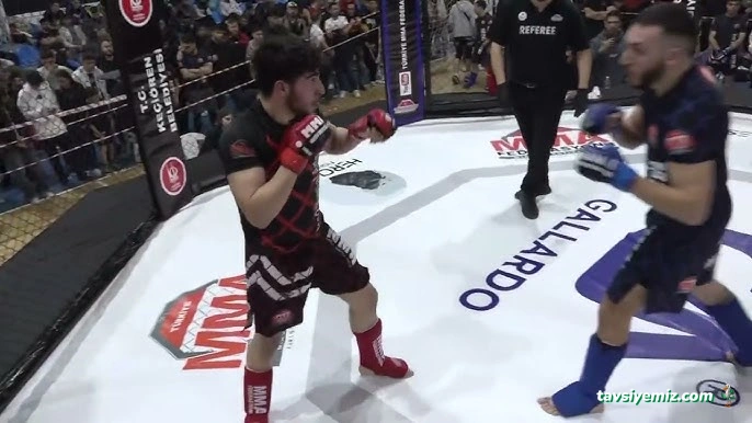 Alpakurt Mma Salonu Alpakurt Mma Salonu