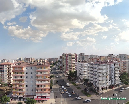 Amed Radyo Tv Amed Radyo Tv