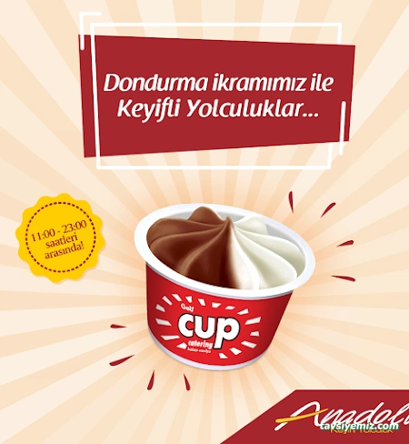 Anadolu Ulaşım Anadolu Ulaşım