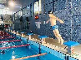 Anafartalar Kapalı Olimpik Yüzme Havuzu Anafartalar Kapalı Olimpik Yüzme Havuzu