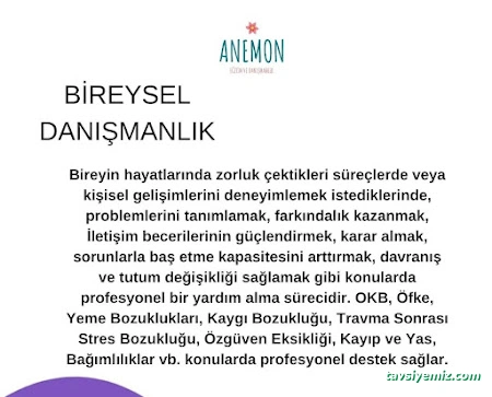 Anemon Psikolojik Danışmanlık Ve Eğitim Merkezi Anemon Psikolojik Danışmanlık Ve Eğitim Merkezi