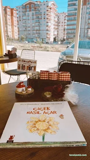 Angel Play House Oyun Ve Kahve Evi Angel Play House Oyun Ve Kahve Evi