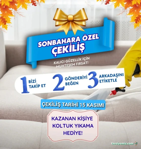 Ankara Temizlik