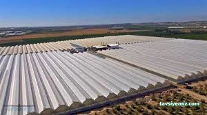 Antalya Seracılık Antalya Seracılık