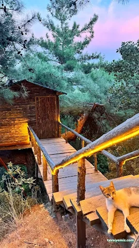Antik Vadi Bungalov Otel Kazdağları Antik Vadi Bungalov Otel Kazdağları