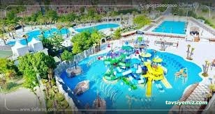 Aqua Club Dolphin