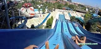 Aqua Club Dolphin