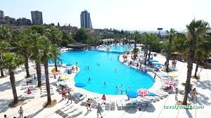 Aqua Club Dolphin