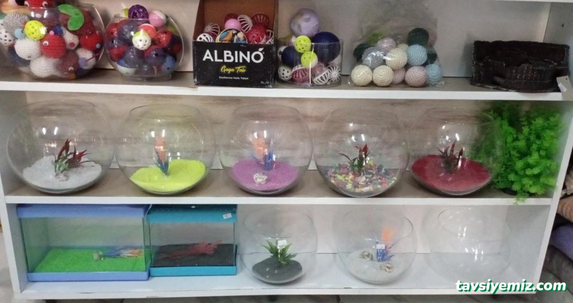 Aqua Petshop Aqua Petshop