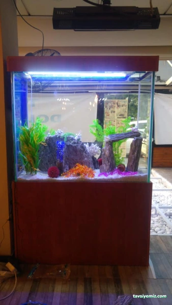 Aqua Petshop Aqua Petshop