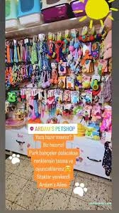 Ardam's Petshop Ardam's Petshop