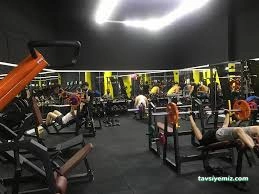 Arena Fitness Arena Fitness