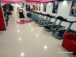 Arena Fitness Arena Fitness