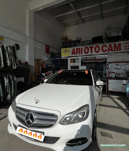 Arı Oto Cam Arı Oto Cam