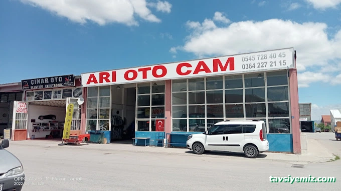 Arı Oto Cam Arı Oto Cam