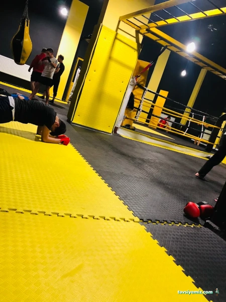 Arlı Spor Kulübü