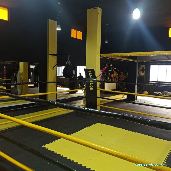 Arlı Spor Kulübü
