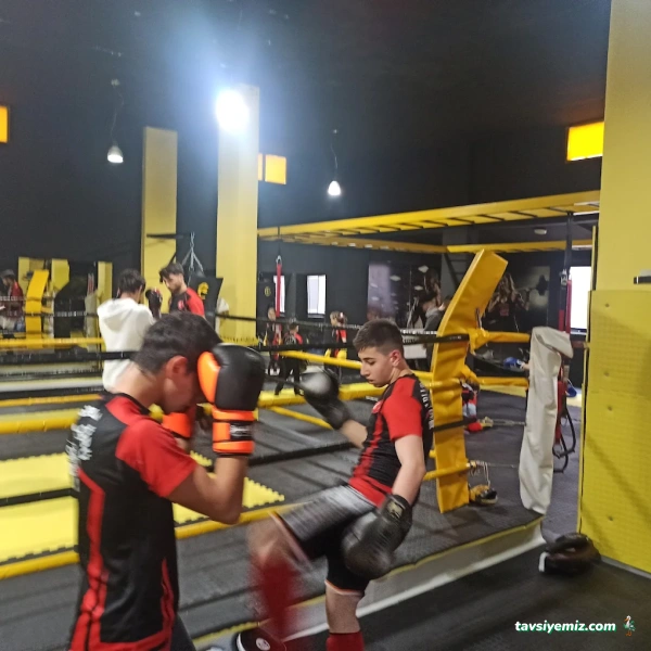 Arlı Spor Kulübü