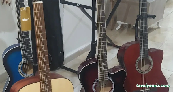 Arya Musıc Arya Musıc