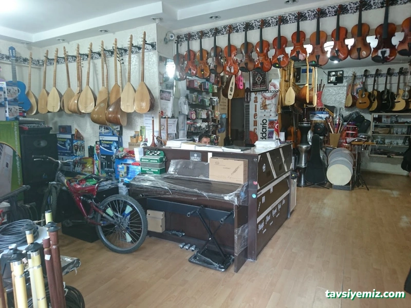 Arya Müzik Akademi