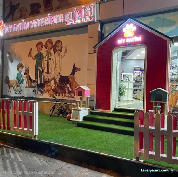 Asia Decor İnşaat Hafriyat Ve Turizm Ticaret.