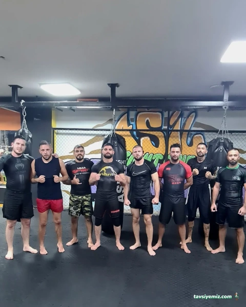 Asil Fight Club Asil Fight Club
