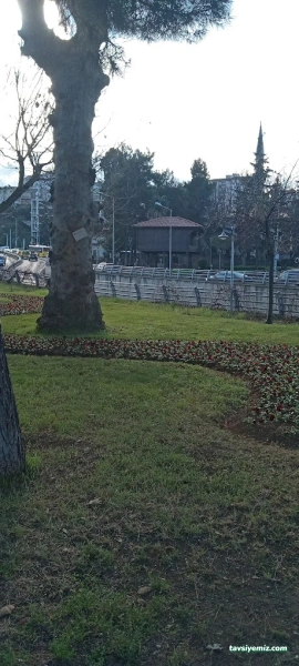 Atapark Büfe Ve Çay Bahçesi