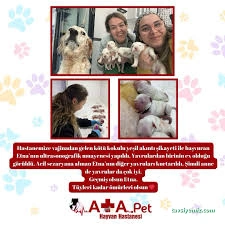 Atapet Hayvan Hastanesi Atapet Hayvan Hastanesi