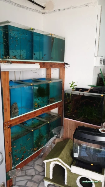 Atlantis Pet Shop