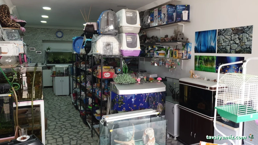 Atlantis Pet Shop