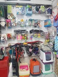 Avcı Pet Shop Akvaryum Avcı Pet Shop Akvaryum