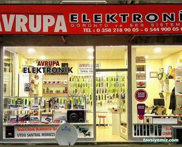 Avrupa Elektronik Avrupa Elektronik