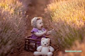 Ayçiçek Fotoğraf Atolyesi Ayçiçek Fotoğraf Atolyesi