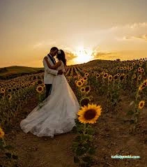 Ayçiçek Fotoğraf Atolyesi Ayçiçek Fotoğraf Atolyesi
