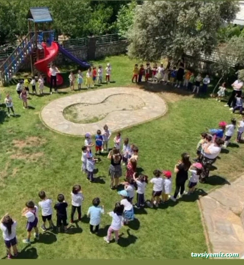 Aydın Güzel Sanatlar Anaokulu Aydın Güzel Sanatlar Anaokulu