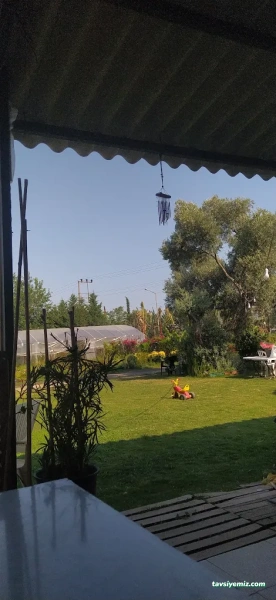 Aydın Peyzaj Aydın Peyzaj