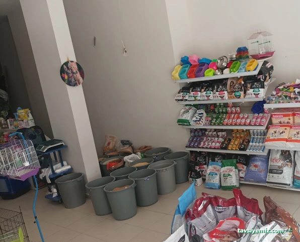 Aypati Petshop