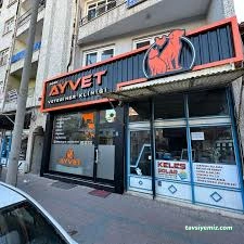 Ayvet Veteriner Kliniği Ayvet Veteriner Kliniği