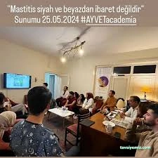 Ayvet Veteriner Kliniği Ayvet Veteriner Kliniği