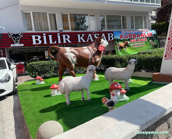 Bilir Kasabı Bilir Kasabı