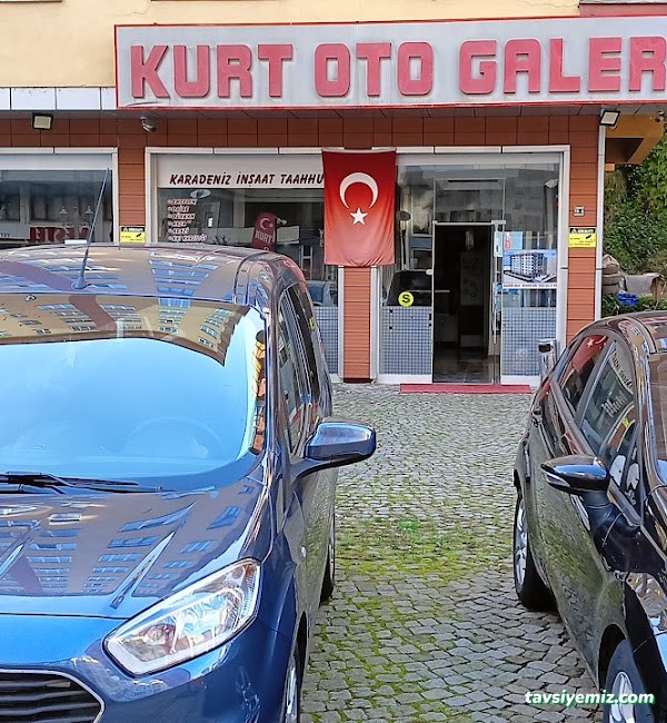 Kurt Oto Kurt Oto