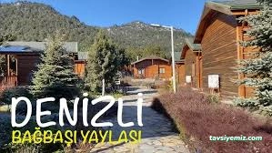 Bağbaşı Yaylası Bungalov Evleri Bağbaşı Yaylası Bungalov Evleri