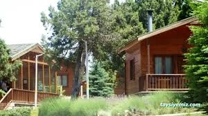 Bağbaşı Yaylası Bungalov Evleri Bağbaşı Yaylası Bungalov Evleri