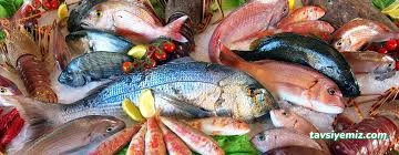 Balık Dünyası Muğla Balık Dünyası Muğla