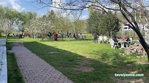 Balık Tesisi Güroymak Balık Tesisi Güroymak