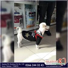 Balıkesir Veteriner Kliniği - Akademi Balıkesir Veteriner Kliniği - Akademi