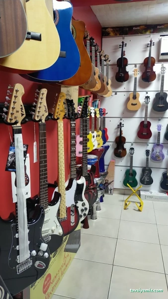 Balım Müzik Karabük Balım Müzik Karabük