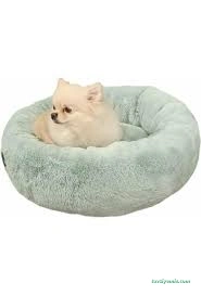Bambi Pet Shop Bambi Pet Shop