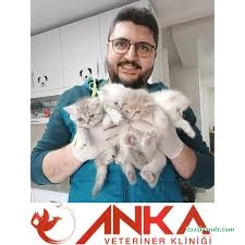Bartın Anka Veteriner Kliniği Bartın Anka Veteriner Kliniği