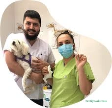 Bartın Anka Veteriner Kliniği Bartın Anka Veteriner Kliniği